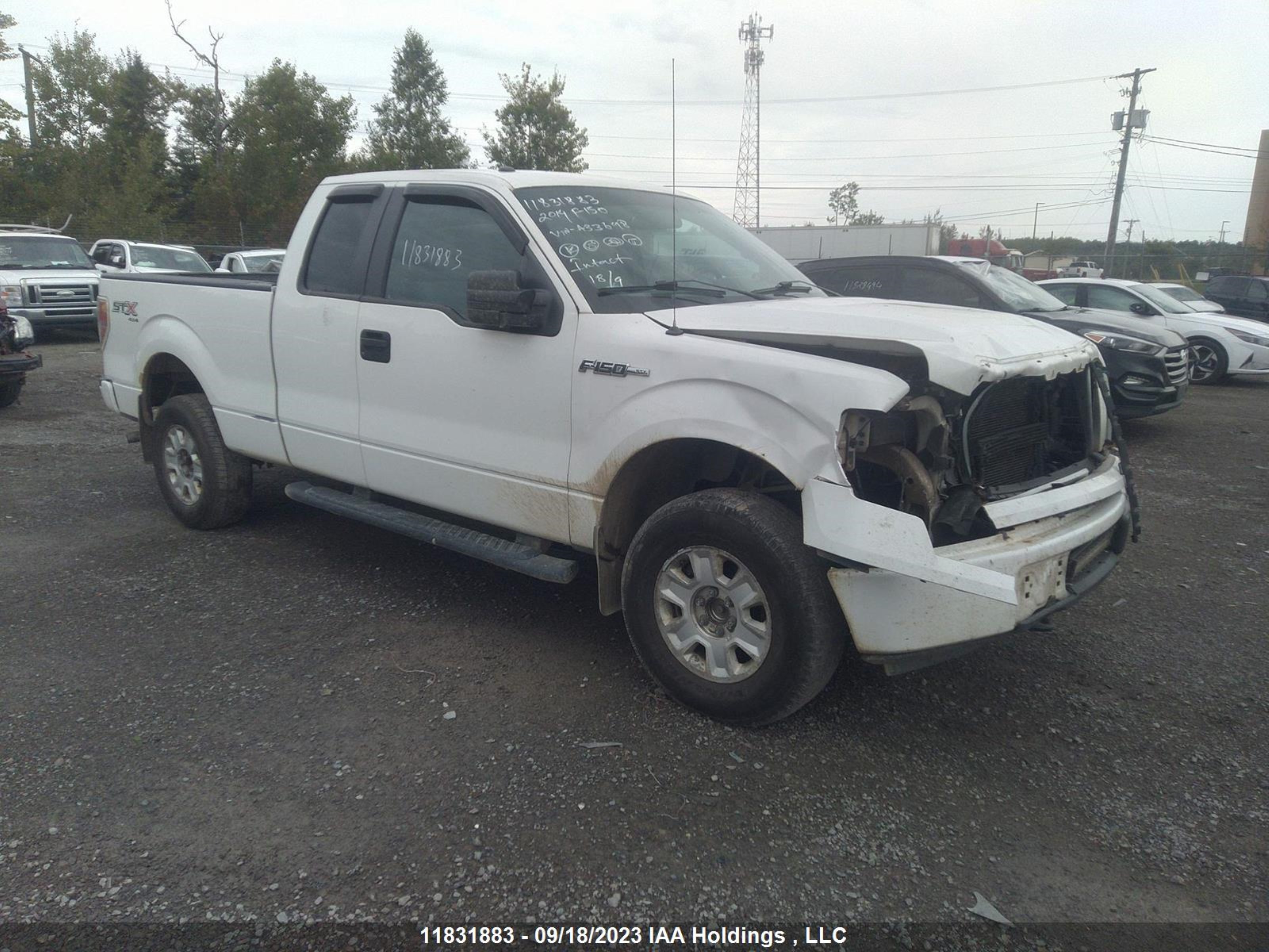 FORD F-150 2014 1ftex1em0efa33698