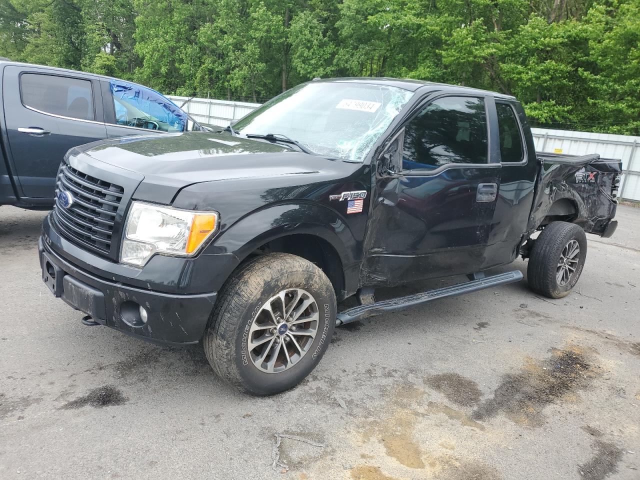 FORD F-150 2014 1ftex1em0efb66090