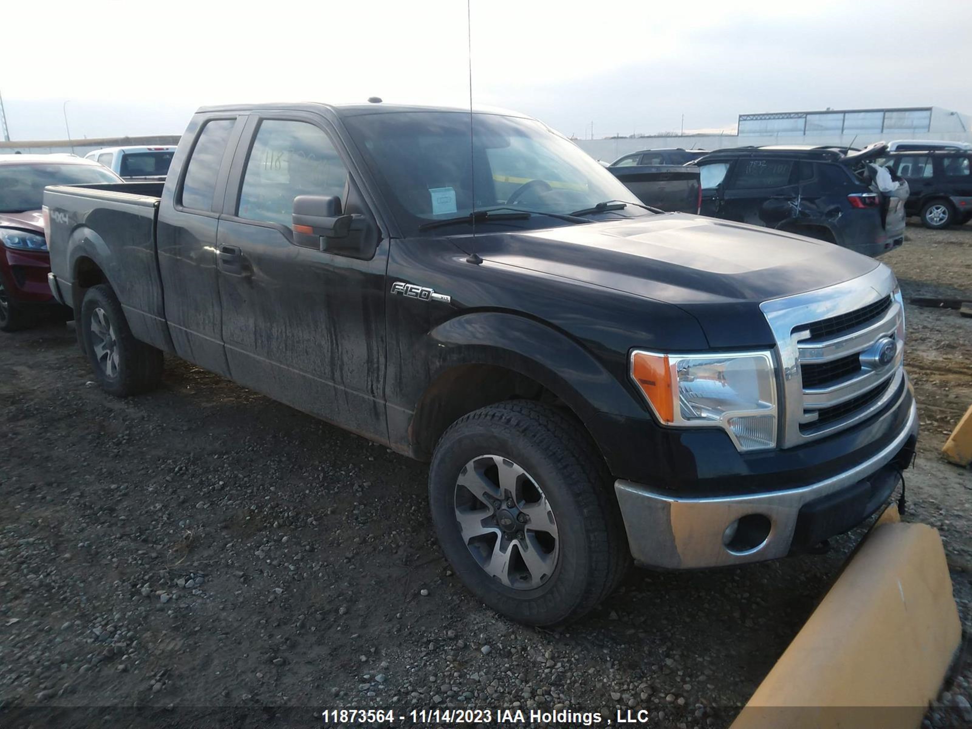 FORD F-150 2014 1ftex1em1efc11036