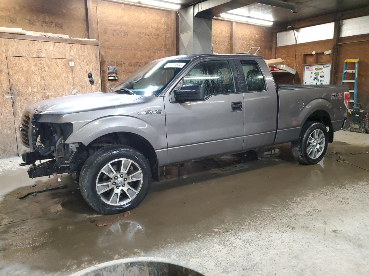 FORD F-150 2014 1ftex1em1efc65307