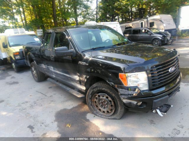 FORD F-150 2014 1ftex1em1efd02341