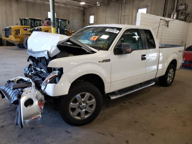 FORD F-150 2013 1ftex1em2dfe05315