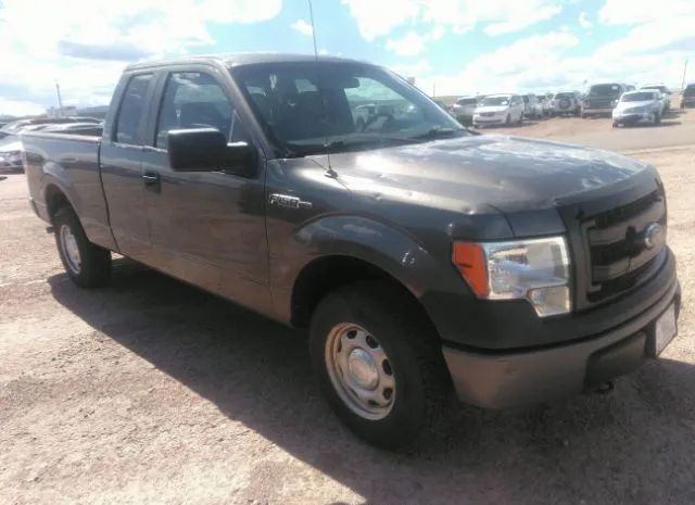 FORD F-150 2014 1ftex1em2efb87166