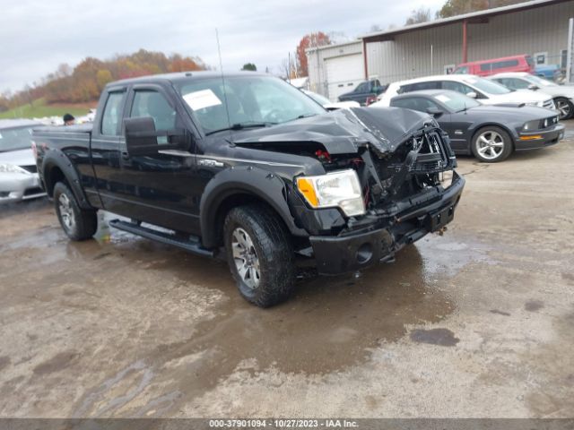 FORD F-150 2014 1ftex1em3efb83143