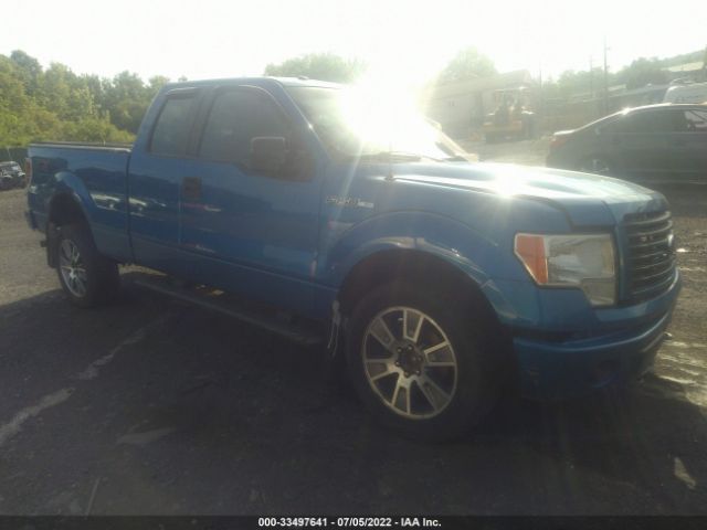 FORD F-150 2014 1ftex1em3efc70895