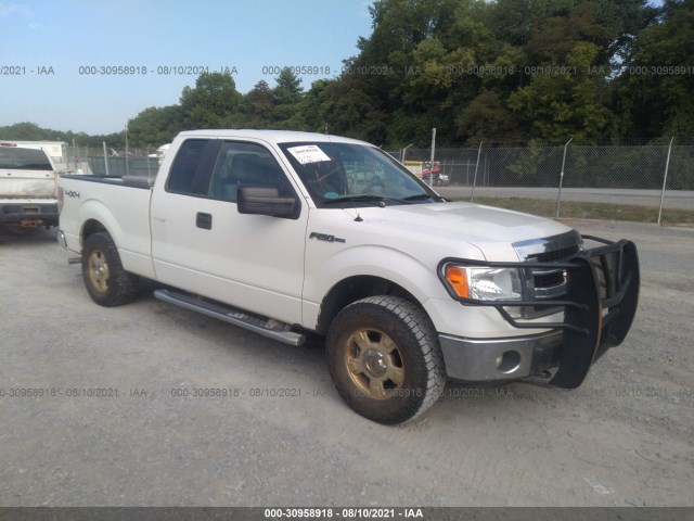 FORD F-150 2013 1ftex1em7dfb99666