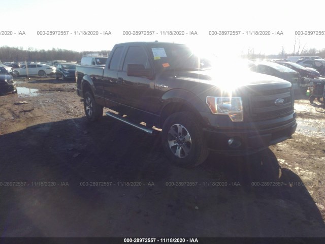 FORD F-150 2014 1ftex1em8efb75474