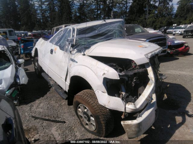 FORD F-150 2011 1ftex1em9bfb45637