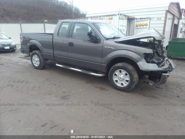 FORD F-150 2013 1ftex1emxdke01164