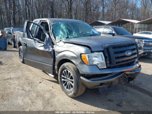 FORD F-150 2010 1ftex1ew0afb87422