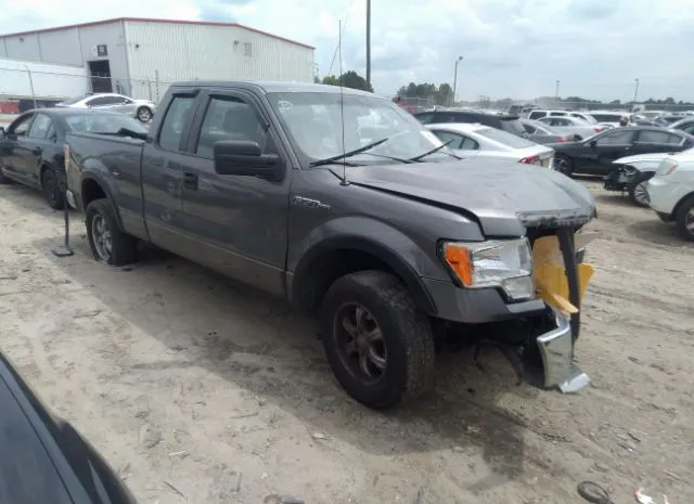 FORD F-150 2010 1ftex1ew3afb24654