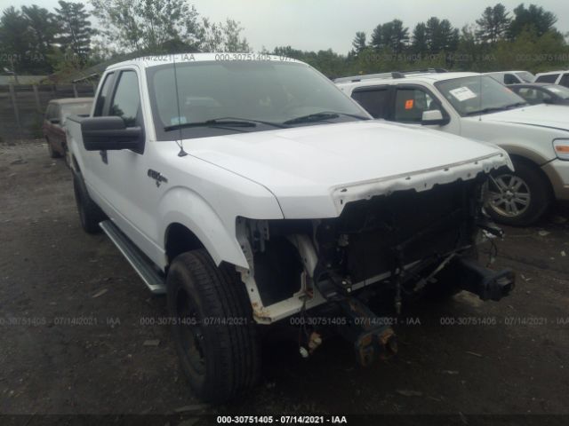 FORD F-150 2010 1ftex1ew3afd82799