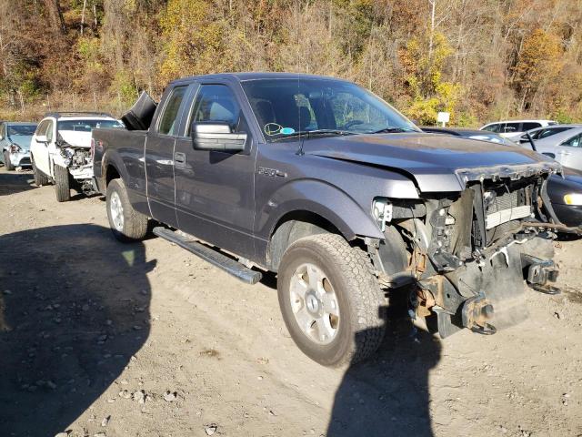 FORD F150 SUPER 2010 1ftex1ew5afc64463