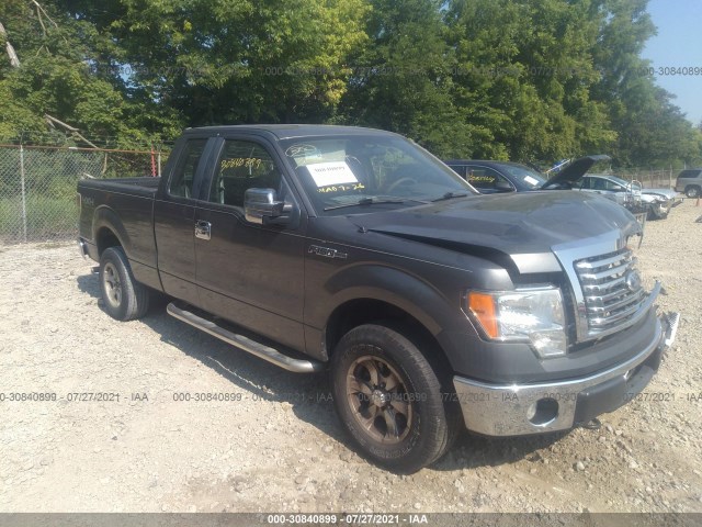 FORD F-150 2010 1ftex1ew7afc83516