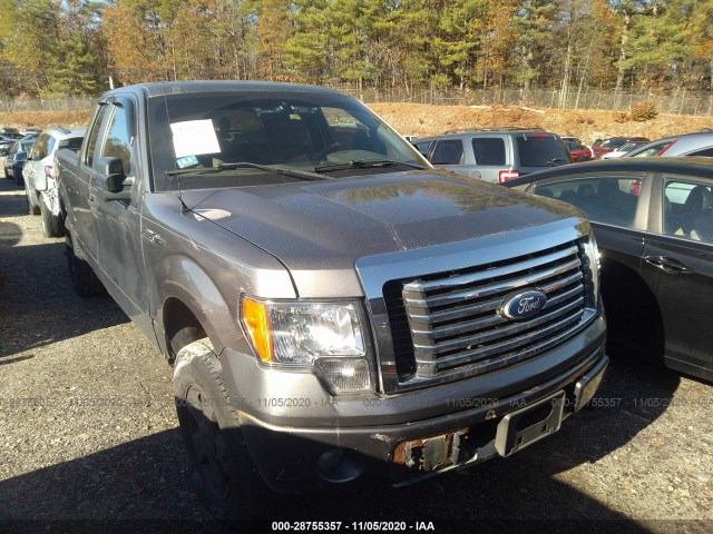 FORD F-150 2010 1ftex1ew8afb42289