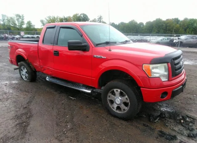 FORD F-150 2010 1ftex1ew8afc47446