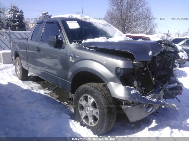 FORD F-150 2010 1ftex1ew8afc65025