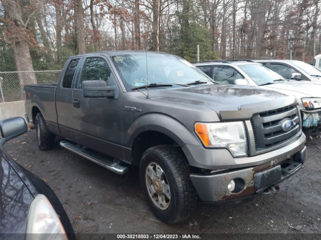 FORD F-150 2010 1ftex1ewxafb93566