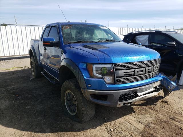 FORD F150 SVT R 2011 1ftex1r60bfb31329