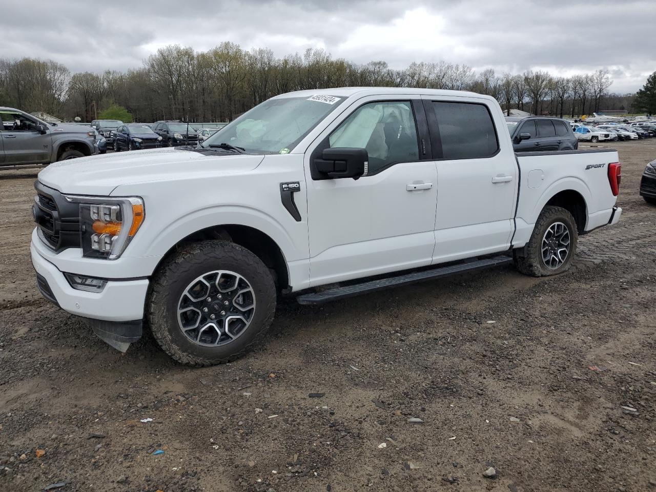 FORD F-150 2021 1ftfw1c8xmfc95899