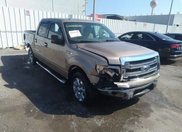 FORD F-150 2013 1ftfw1cf0dkg22946