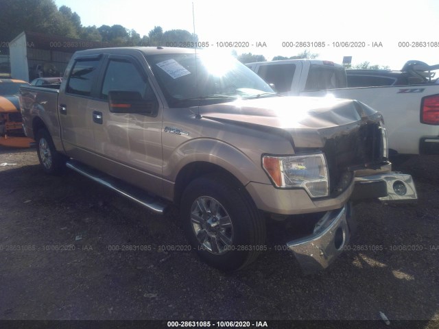 FORD F-150 2012 1ftfw1cf1cke15531