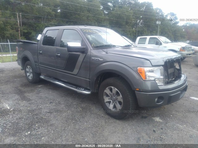 FORD F-150 2014 1ftfw1cf1ekd36167