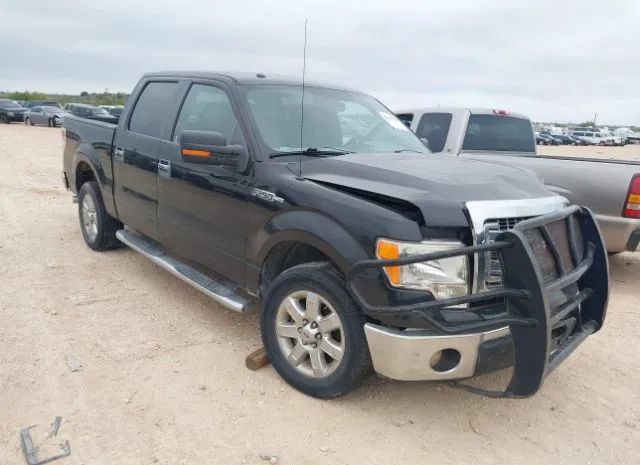 FORD F-150 2014 1ftfw1cf1ekd80251