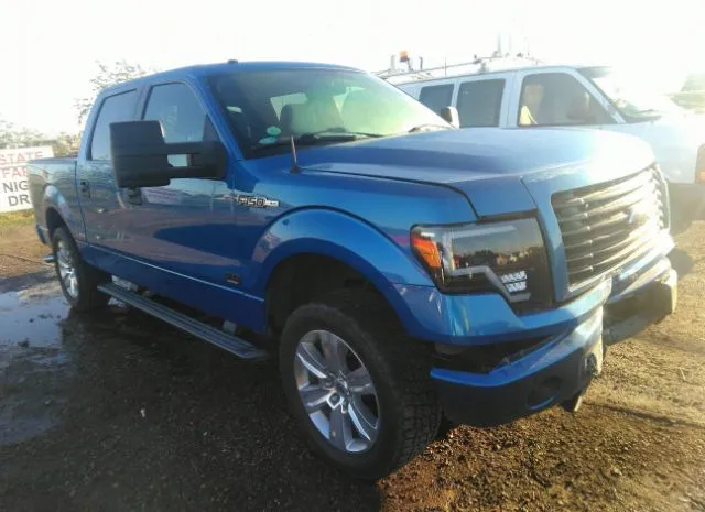 FORD F-150 2014 1ftfw1cf1eke80494