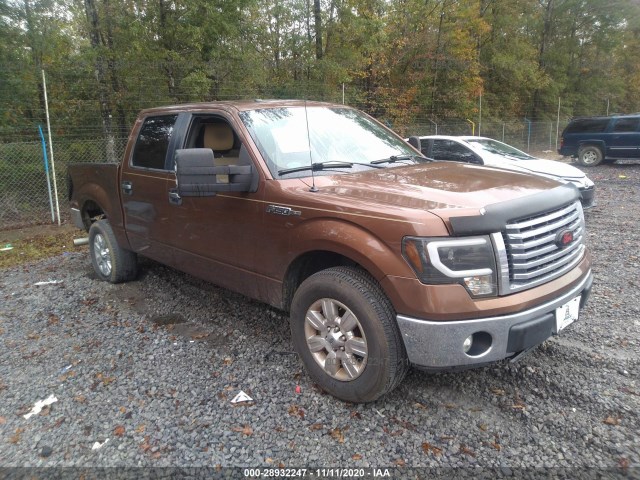 FORD F-150 2011 1ftfw1cf2bfd03361