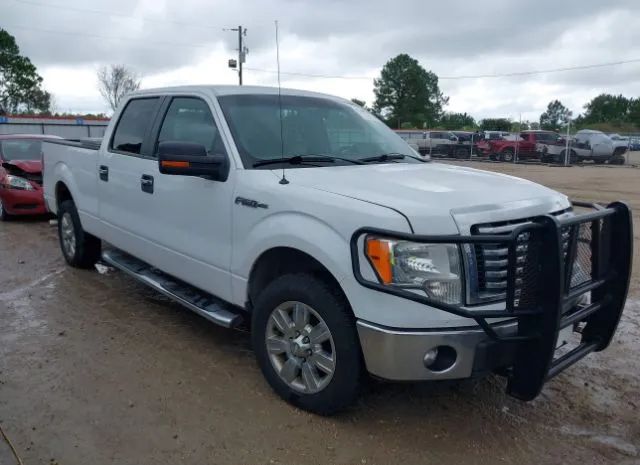 FORD F-150 2012 1ftfw1cf2cke15442