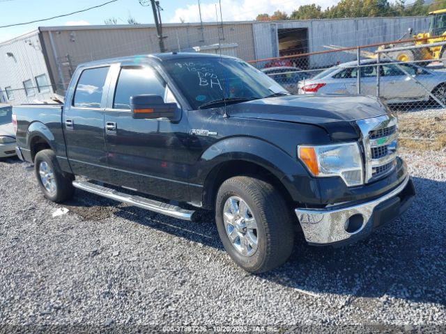 FORD F-150 2013 1ftfw1cf2dfa85277