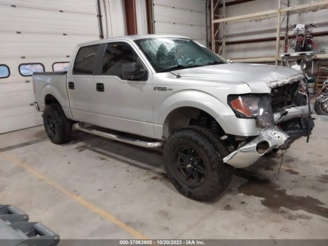 FORD F-150 2013 1ftfw1cf2dfc54441