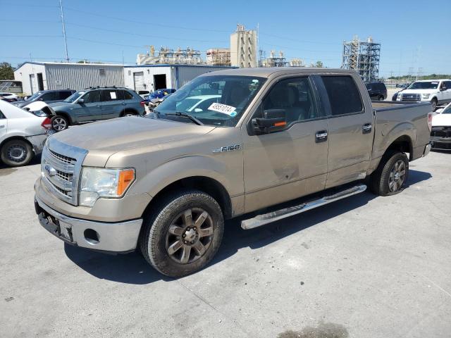 FORD F-150 2013 1ftfw1cf2dfd92416