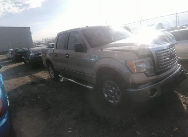 FORD F-150 2011 1ftfw1cf3bfa85107