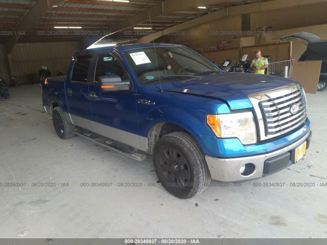 FORD F-150 2011 1ftfw1cf3bfc02250