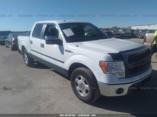 FORD F-150 2013 1ftfw1cf3dfc41861