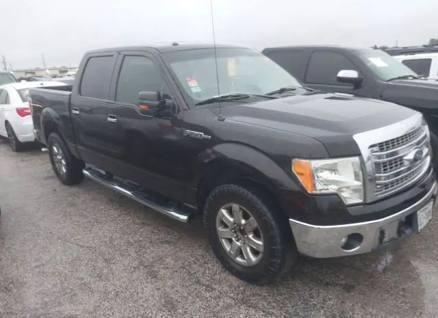 FORD F-150 2013 1ftfw1cf3dfd40275