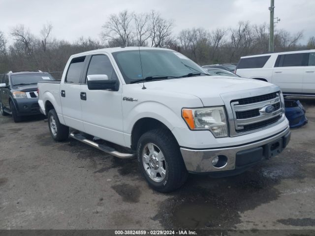 FORD F-150 2013 1ftfw1cf3dfd63393