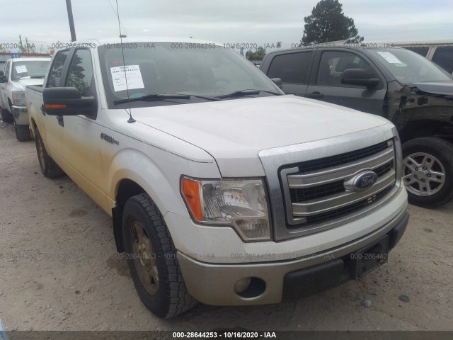 FORD F-150 2013 1ftfw1cf3dfd92876