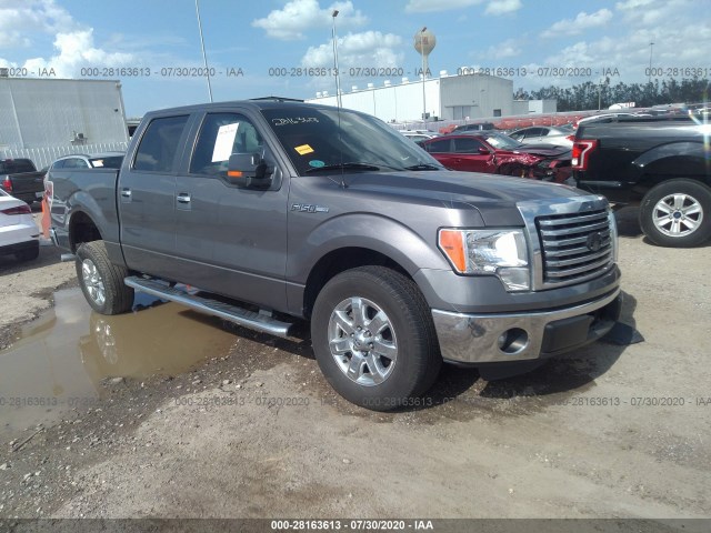 FORD F-150 2014 1ftfw1cf3efc07422