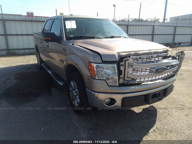 FORD F-150 2014 1ftfw1cf3ekd66433