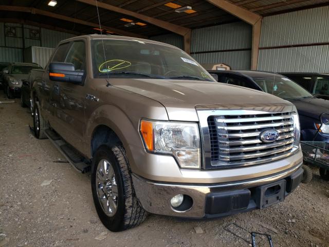 FORD F150 SUPER 2011 1ftfw1cf4bke02206