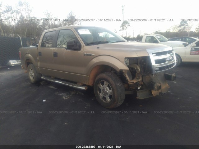 FORD F-150 2013 1ftfw1cf4dfb56916