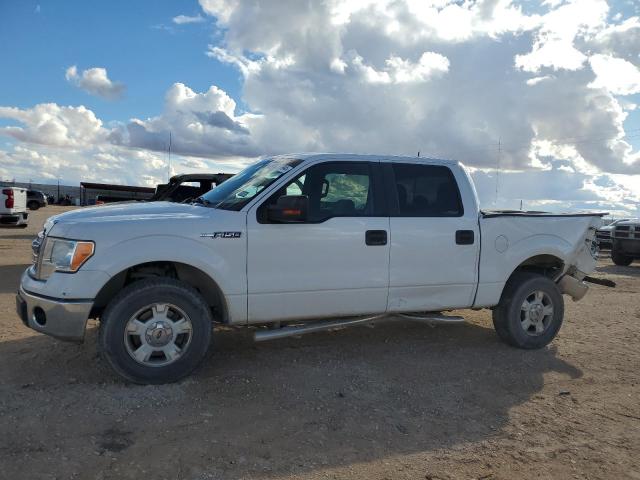 FORD F-150 2014 1ftfw1cf4eke85849