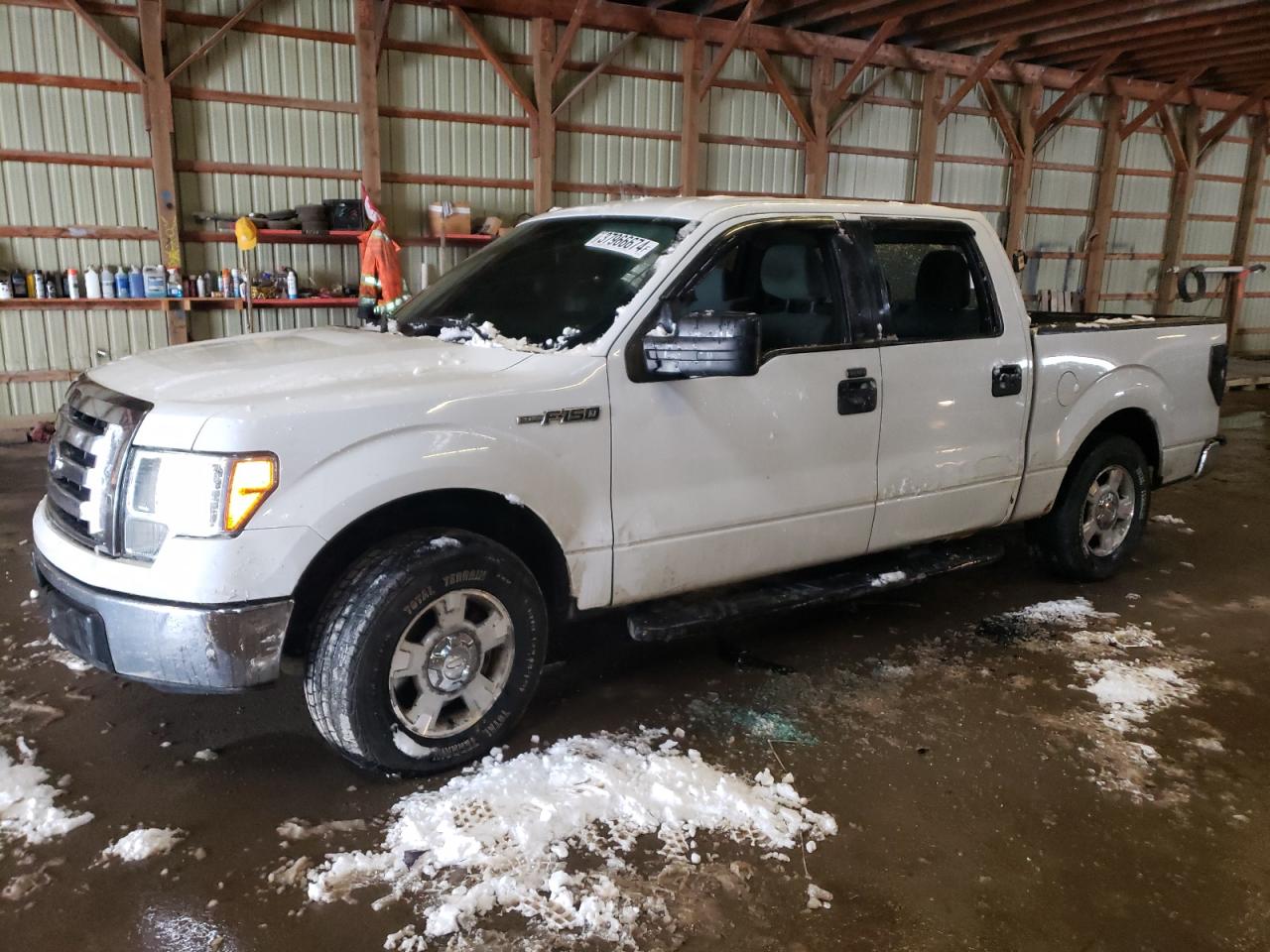 FORD F-150 2011 1ftfw1cf5bfa14054