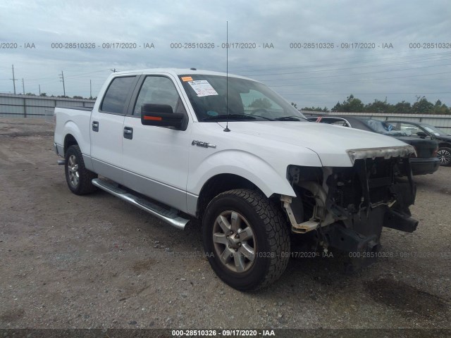 FORD F-150 2013 1ftfw1cf5dfa60213