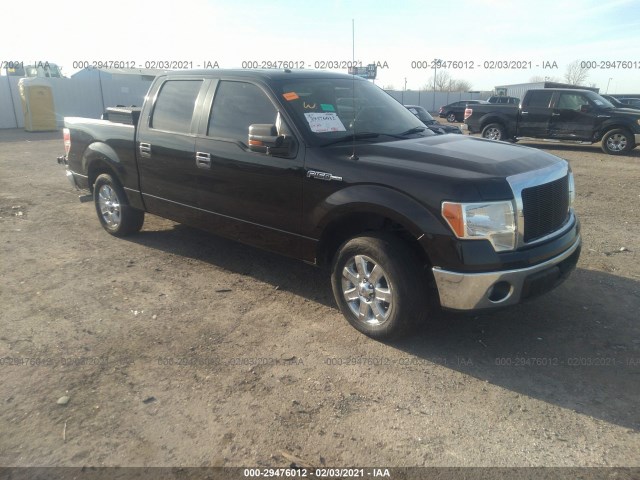 FORD F-150 2013 1ftfw1cf5dkd64567