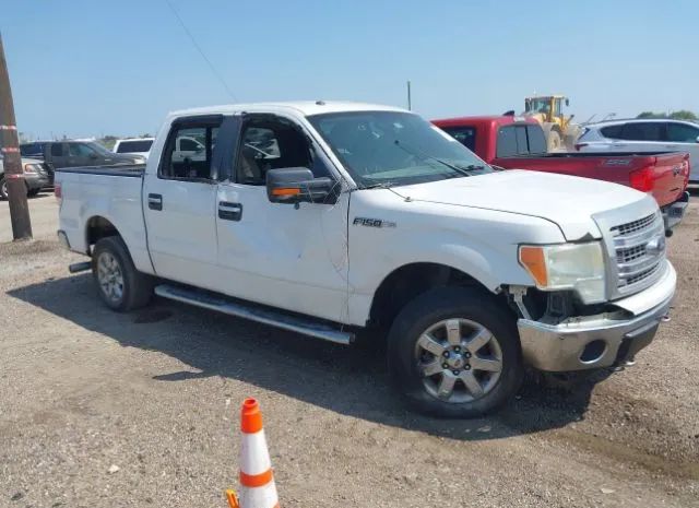 FORD F-150 2013 1ftfw1cf5dkd72569