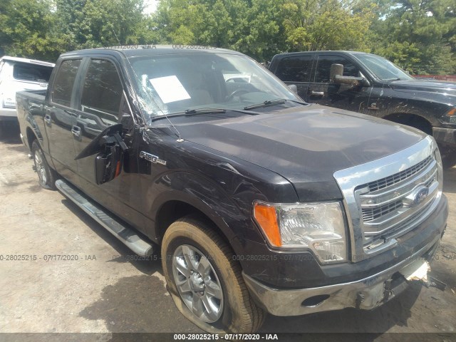 FORD F-150 2013 1ftfw1cf5dkf09462